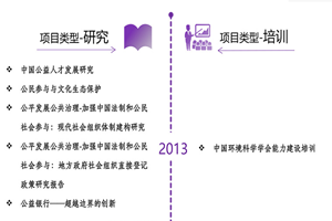 中国肏屄网非评估类项目发展历程